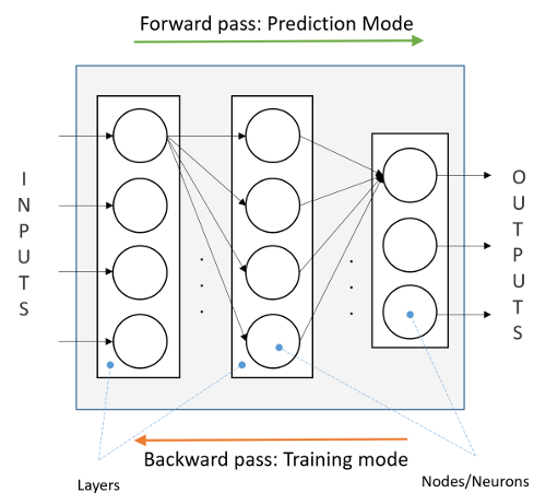 Feed Forward Neural Network